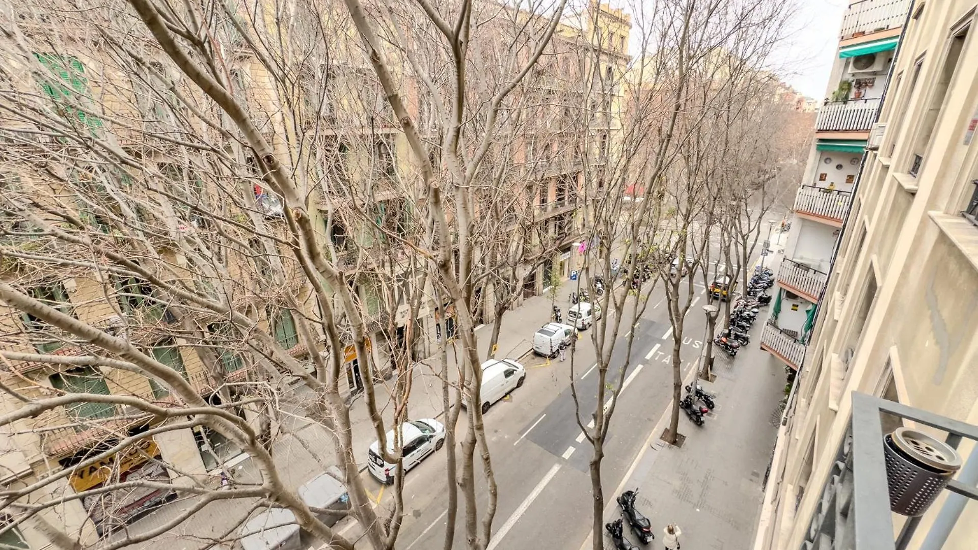 Novus Homes Barcelona Eixample アパート